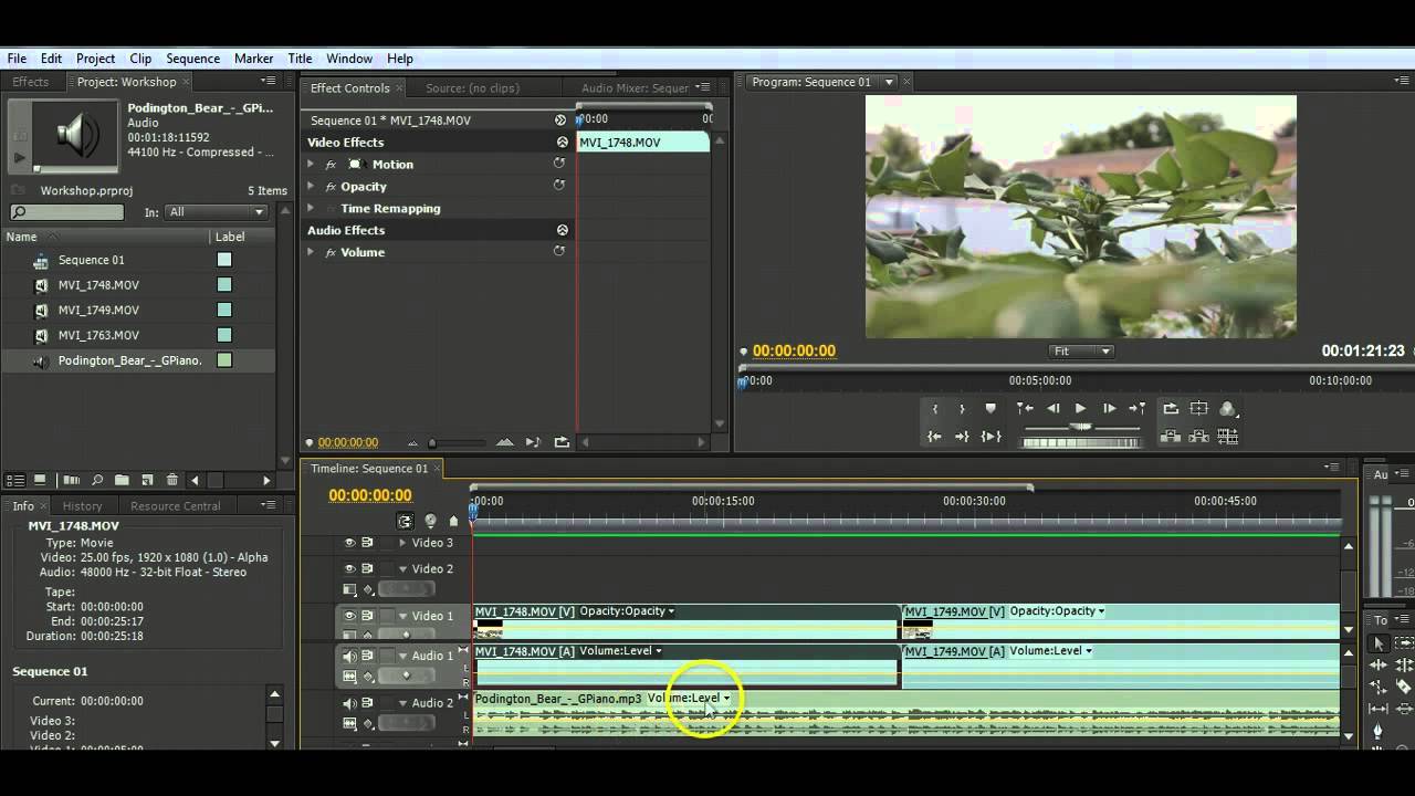 download adobe video editor